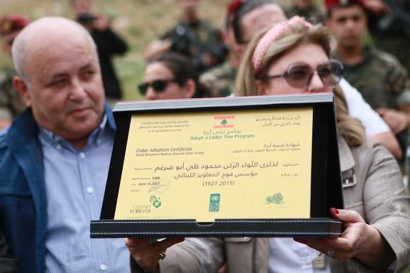 Cedar tree in memory of the Lebanese Commandos Regiment founder